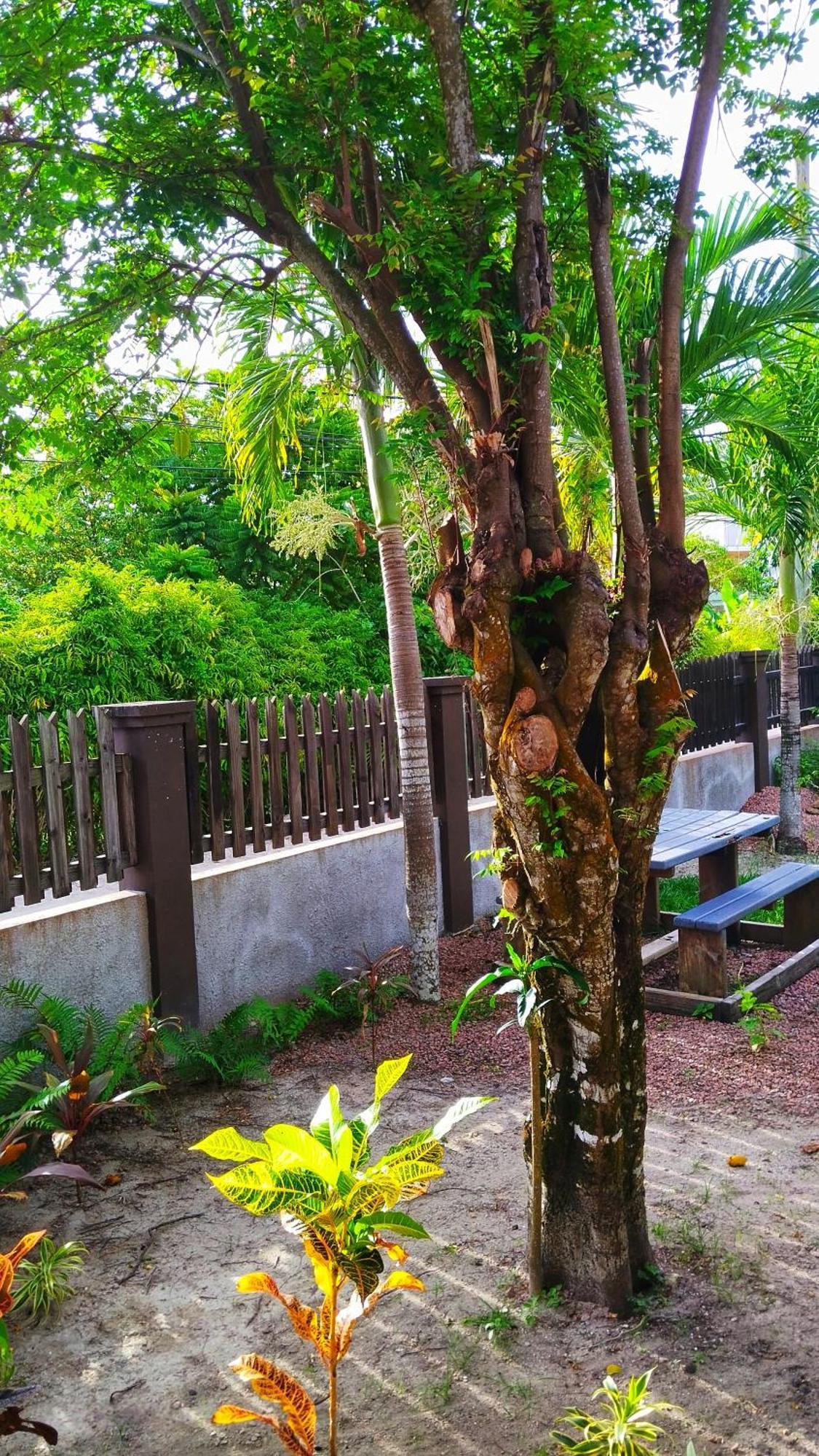 Fern Lodge Self Catering La Digue Kamer foto